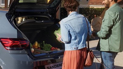 SANDERO 1