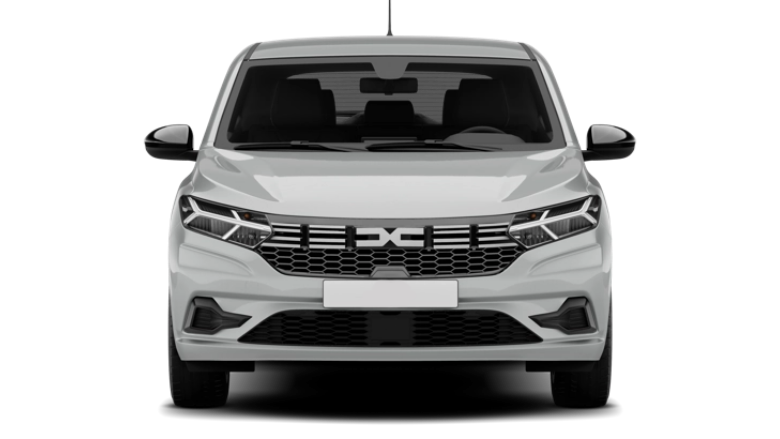 SANDERO 1