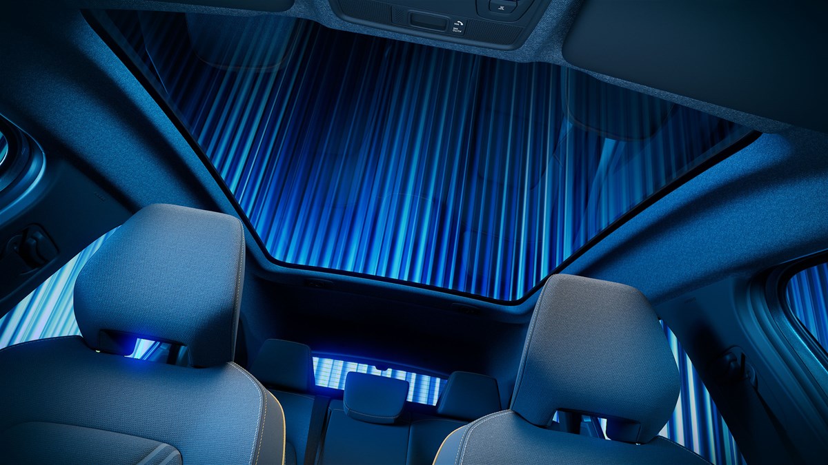 SYMBIOZ interior